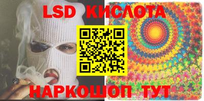 прущие грибы Чебоксары