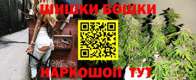 прущие грибы Чебоксары