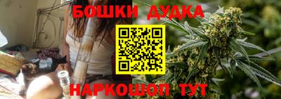 прущие грибы Чебоксары