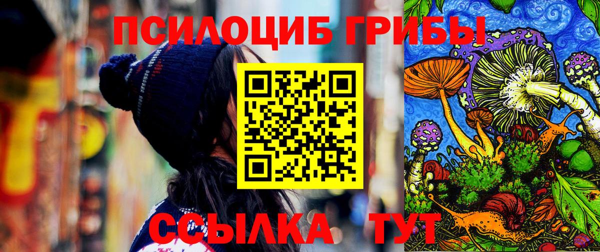 Галлюциногенные грибы Psilocybe  Вход с VPN  Михайловка 